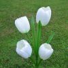 LED Tulip Flower Stake Light Solar Energy Rechargeable Garden Patio Pathway